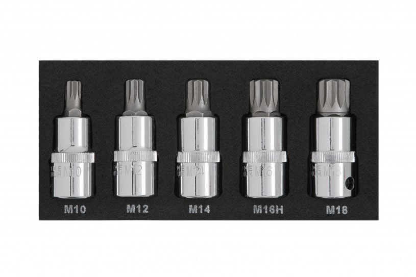 BlueSpot 5 PCE 1/2″ Spline Bit Set (M10-M18) (EVA FOAM)