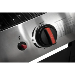 Dellonda 2 Burner Gas BBQ Grill with Piezo Ignition & Thermometer