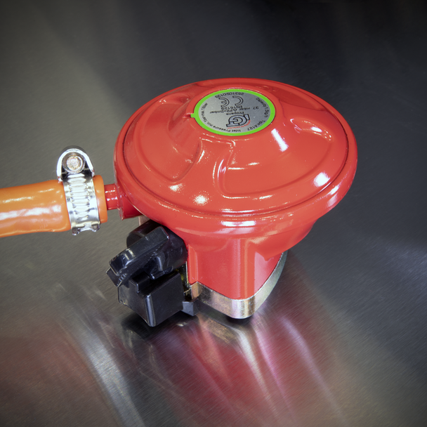 Dellonda 4+1 Burner Deluxe Gas BBQ Grill with Piezo Ignition & Thermometer – Stainless Steel