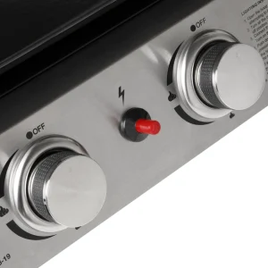 Dellonda 2 Burner Portable Gas Plancha