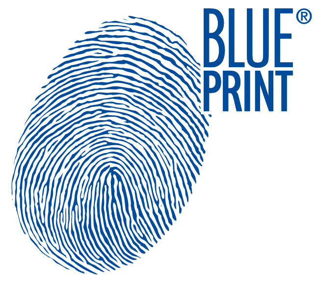 Blue Print